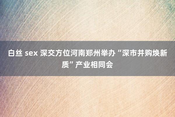 白丝 sex 深交方位河南郑州举办“深市并购焕新质”产业相同会