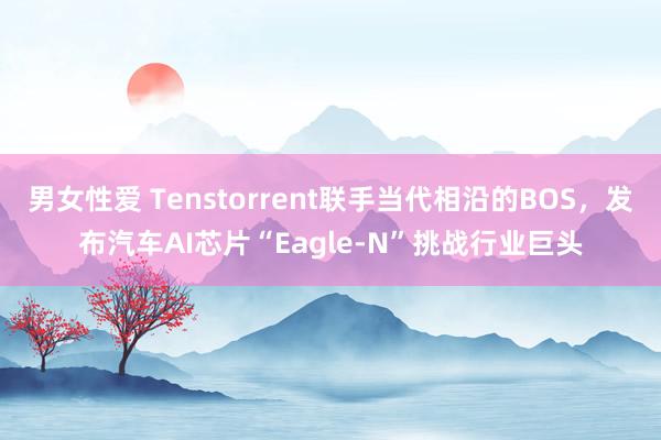 男女性爱 Tenstorrent联手当代相沿的BOS，发布汽车AI芯片“Eagle-N”挑战行业巨头