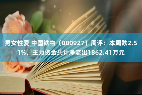 男女性爱 中国铁物（000927）周评：本周跌2.51%，主力资金共计净流出1862.41万元