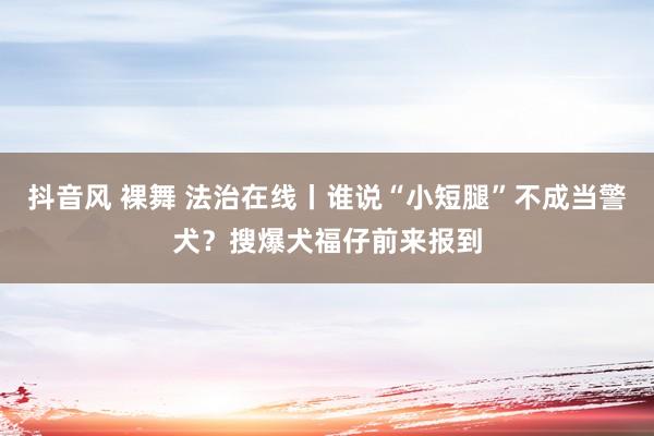 抖音风 裸舞 法治在线丨谁说“小短腿”不成当警犬？搜爆犬福仔前来报到