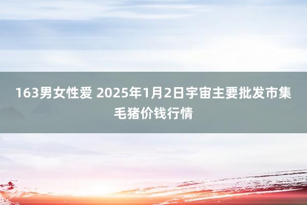 163男女性爱 2025年1月2日宇宙主要批发市集毛猪价钱行情