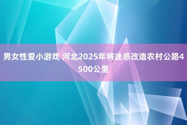 男女性爱小游戏 河北2025年将迷惑改造农村公路4500公里