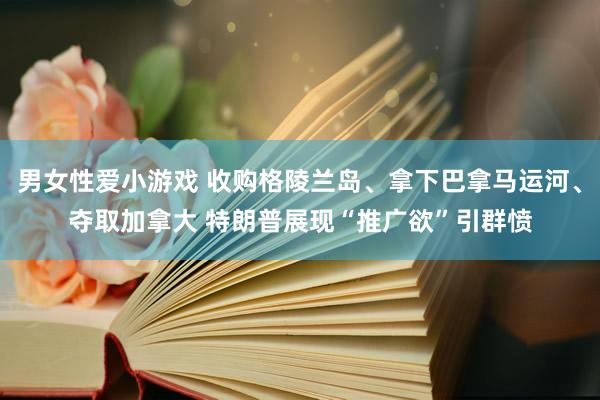 男女性爱小游戏 收购格陵兰岛、拿下巴拿马运河、夺取加拿大 特朗普展现“推广欲”引群愤