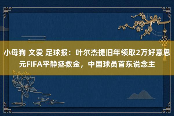 小母狗 文爱 足球报：叶尔杰提旧年领取2万好意思元FIFA平静拯救金，中国球员首东说念主