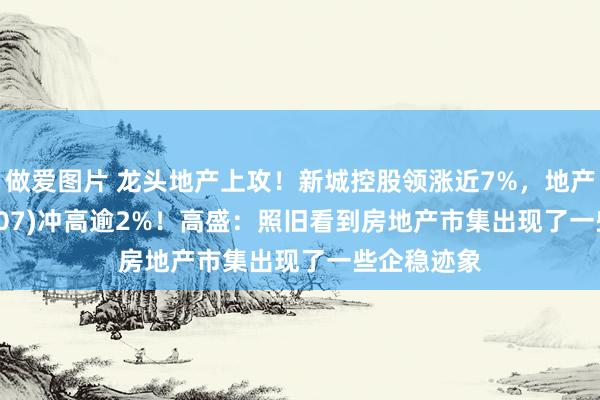 做爱图片 龙头地产上攻！新城控股领涨近7%，地产ETF(159707)冲高逾2%！高盛：照旧看到房地产市集出现了一些企稳迹象