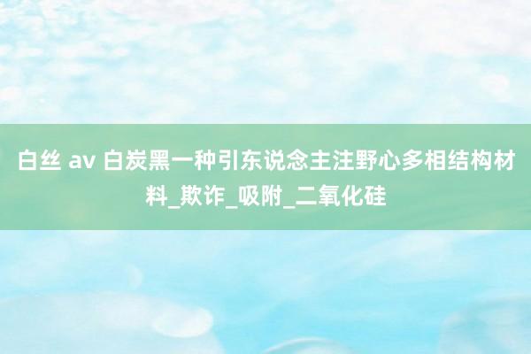 白丝 av 白炭黑一种引东说念主注野心多相结构材料_欺诈_吸附_二氧化硅