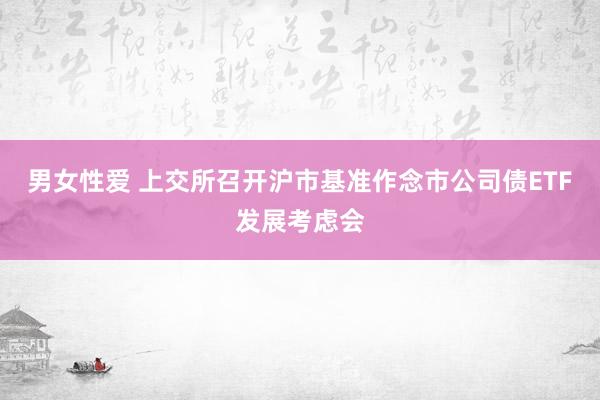 男女性爱 上交所召开沪市基准作念市公司债ETF发展考虑会