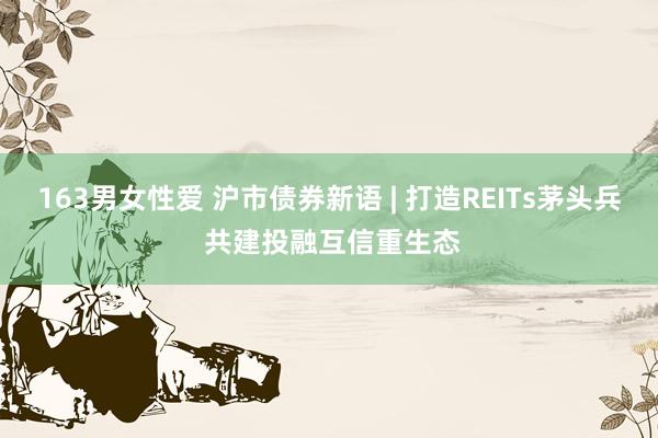 163男女性爱 沪市债券新语 | 打造REITs茅头兵 共建投融互信重生态